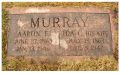 Headstone of Aaron E. Murray & Ida Carrie Chapman.
Photographed by Susan White a RAOGK Volunteer.  
Thank you very much